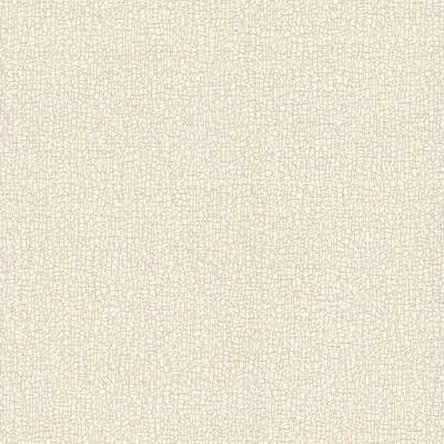York Wallcovering Sweet Birch Wallpaper White/Off Whites