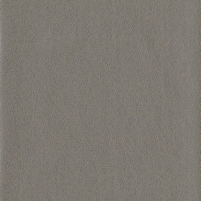 York Wallcovering Tatting Wallpaper Browns