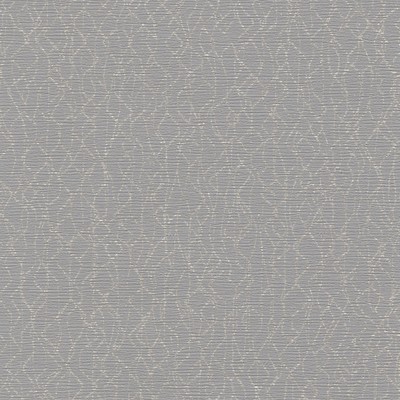 York Wallcovering Live Wire Wallpaper Blacks