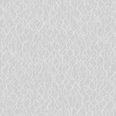 York Wallcovering Live Wire Wallpaper White/Off Whites