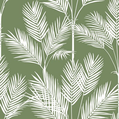 York Wallcovering King Palm Silhouette Wallpaper Green