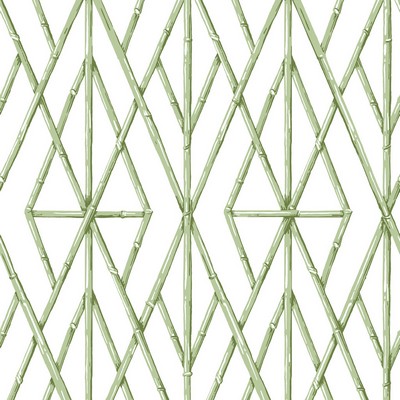York Wallcovering Riviera Bamboo Trellis Wallpaper Green