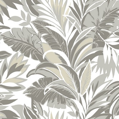 York Wallcovering Palm Silhouette Wallpaper Gray / White