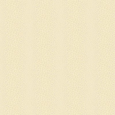 York Wallcovering Canopy Wallpaper soft pearly gold, cream