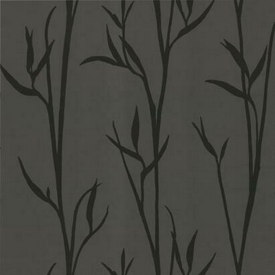 York Wallcovering Matcha Wallpaper Black