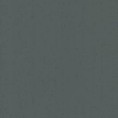 York Wallcovering Radiant Juniper Wallpaper Black