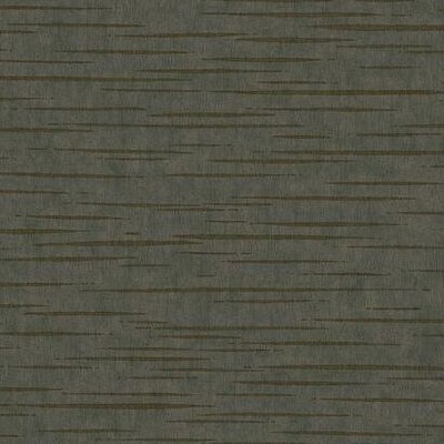 York Wallcovering Tigers Eye Wallpaper Gray