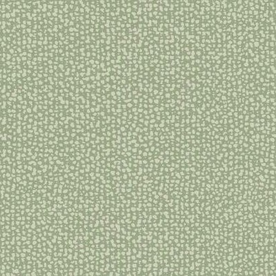 York Wallcovering Galaxies Wallpaper Green