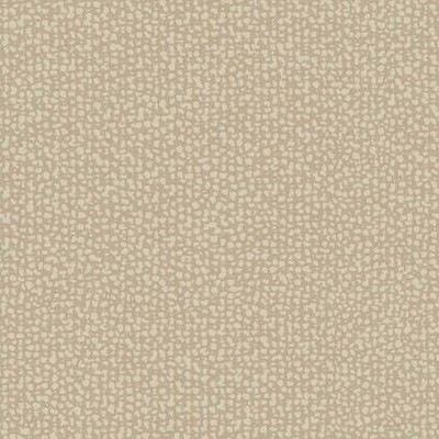 York Wallcovering Galaxies Wallpaper Clay