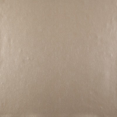 York Wallcovering Oasis Wallpaper - Glint Metallics