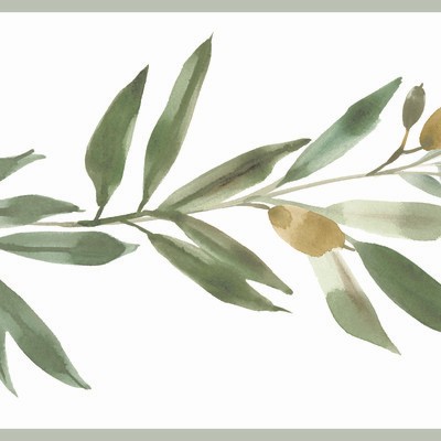 York Wallcovering Olive Branch Border  Green