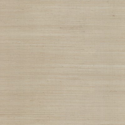 York Wallcovering SISAL                          beige, pearl