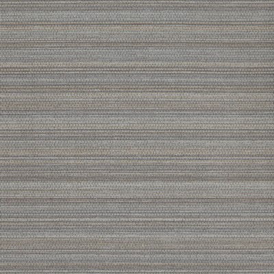York Wallcovering Sedge Wallpaper Blacks