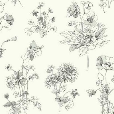 York Wallcovering Meadow in Bloom Wallpaper  Grey