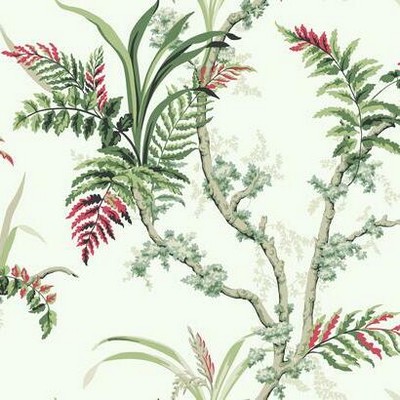 York Wallcovering Enchanted Fern Wallpaper Green/Red