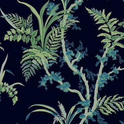 York Wallcovering Enchanted Fern Wallpaper Navy/Green