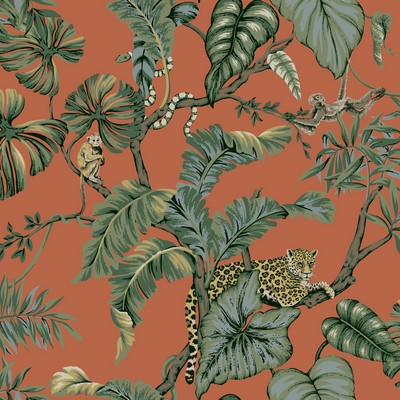 York Wallcovering Jungle Cat Wallpaper Orange