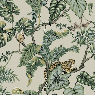 York Wallcovering Jungle Cat Wallpaper Beige