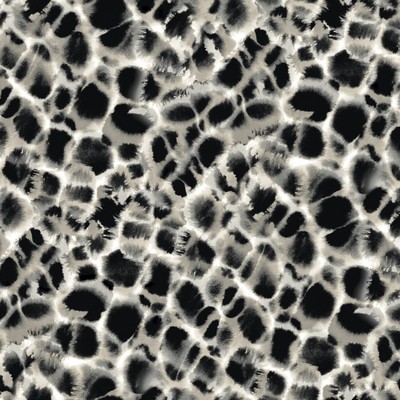 York Wallcovering Leopard Rosettes Wallpaper Black/Off White