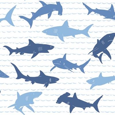York Wallcovering Shark Charades Wallpaper Blues