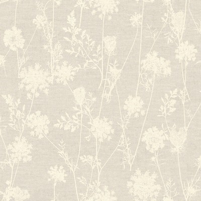 York Wallcovering Queen Annes Lace Wallpaper  Browns