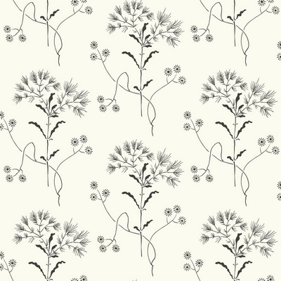 York Wallcovering Wildflower  Black on White
