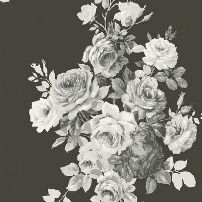 York Wallcovering Tea Rose  Black/White on Black