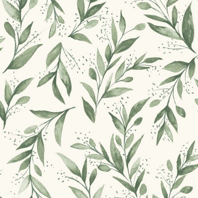 York Wallcovering Olive Branch  Olive Grove
