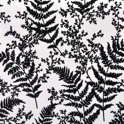 York Wallcovering Forest Fern  Black