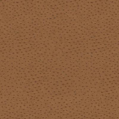 York Wallcovering OSTRICH                        Browns