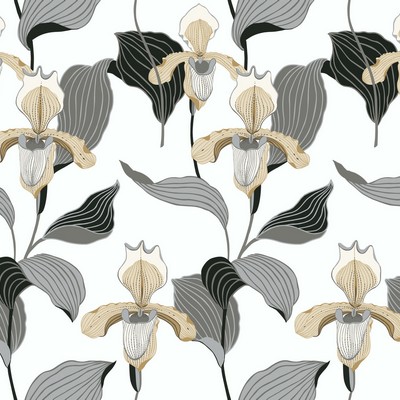 York Wallcovering Lady Slipper Wallpaper Gold/Gray