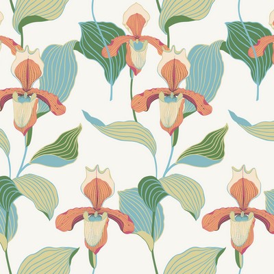 York Wallcovering Lady Slipper Wallpaper Orange/Blue
