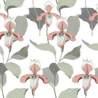 York Wallcovering Lady Slipper Wallpaper Peach/Gray