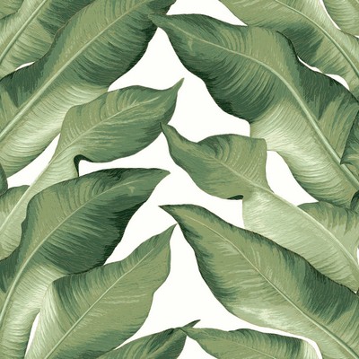 York Wallcovering Beverly Hills Wallpaper White/Green