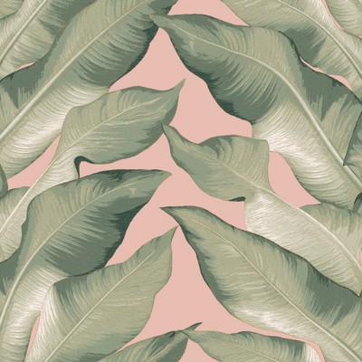 York Wallcovering Beverly Hills Wallpaper Peach/Green