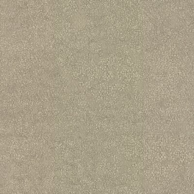 York Wallcovering Weathered Wallpaper Beige