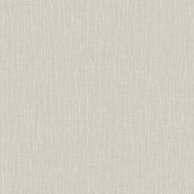 York Wallcovering Woodland Twigs Wallpaper Cream/White