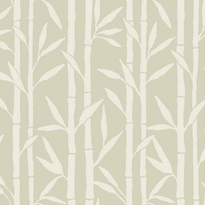 York Wallcovering Bamboo Grove Wallpaper Beige