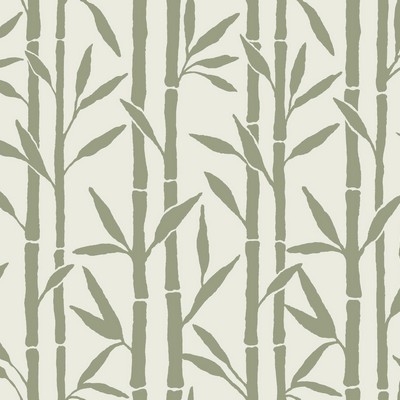 York Wallcovering Bamboo Grove Wallpaper Green/White