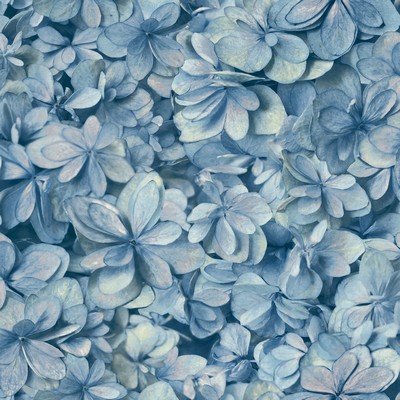 York Wallcovering Hydrangea Bloom Wallpaper Blue