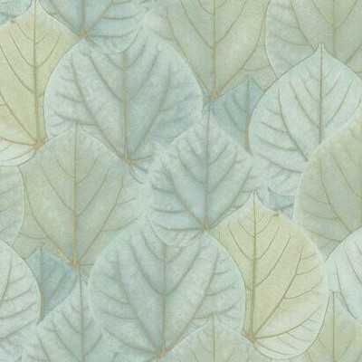 York Wallcovering Leaf Concerto Wallpaper Turquoise