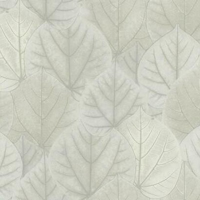 York Wallcovering Leaf Concerto Wallpaper Gray