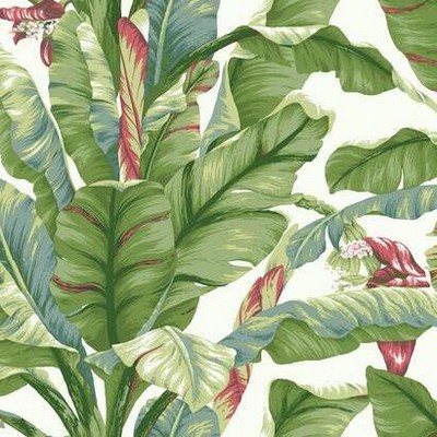 York Wallcovering Banana Leaf Peel and Stick Wallpaper White/Green