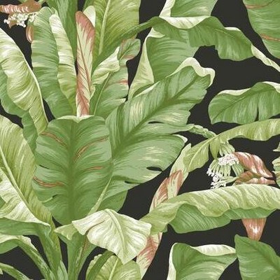 York Wallcovering Banana Leaf Peel and Stick Wallpaper Black/Green