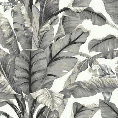 York Wallcovering Banana Leaf Peel and Stick Wallpaper White/Black