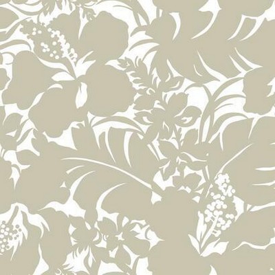 York Wallcovering Hibiscus Arboretum Peel and Stick Wallpaper Off White