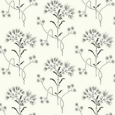 York Wallcovering Magnolia Home Wildflower Peel and Stick Wallpaper Black/White