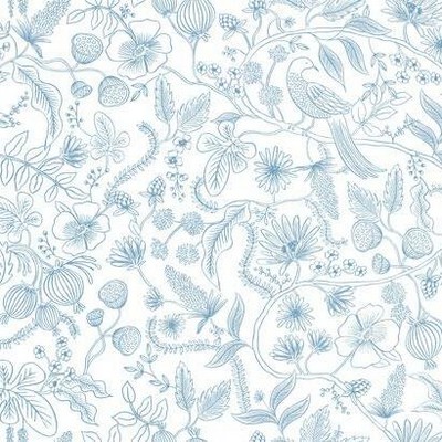 York Wallcovering Aviary Peel and Stick Wallpaper Blue/Cream