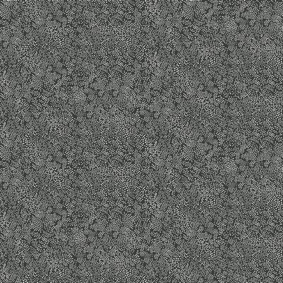 York Wallcovering Champagne Dots Wallpaper White/Black