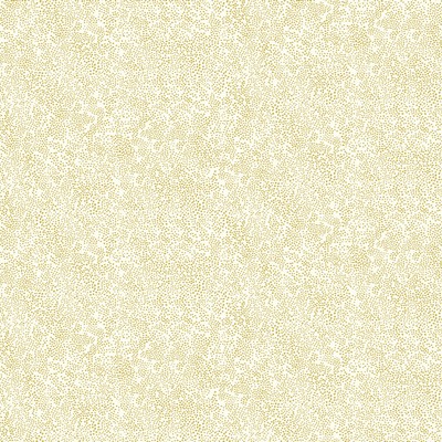 York Wallcovering Champagne Dots Wallpaper Gold/White
